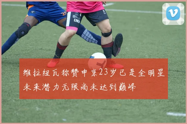 维拉纽瓦称赞申京23岁已是全明星未来潜力无限尚未达到巅峰